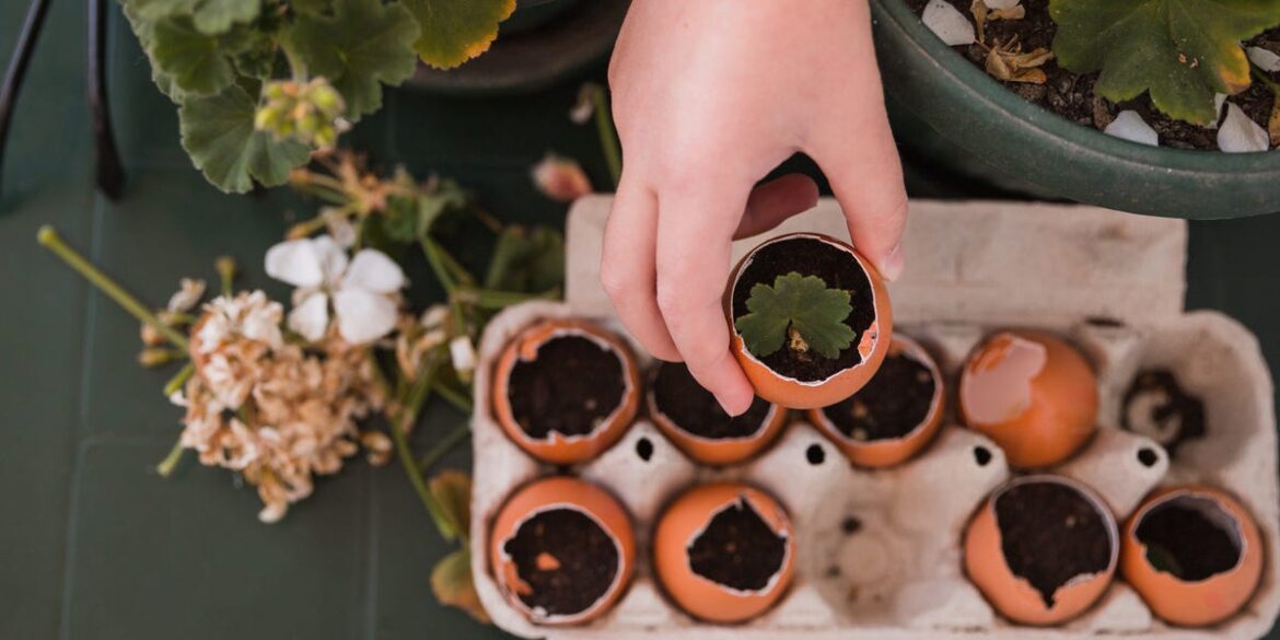 5 Retro Gardening Hacks That Actually Work