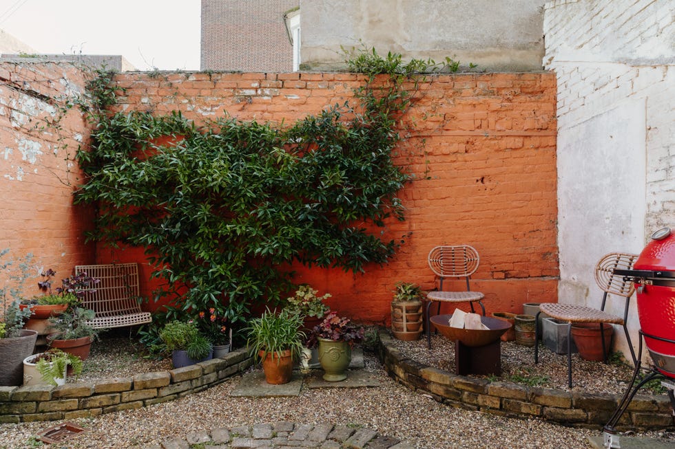 a small garden with seating plants and a grill