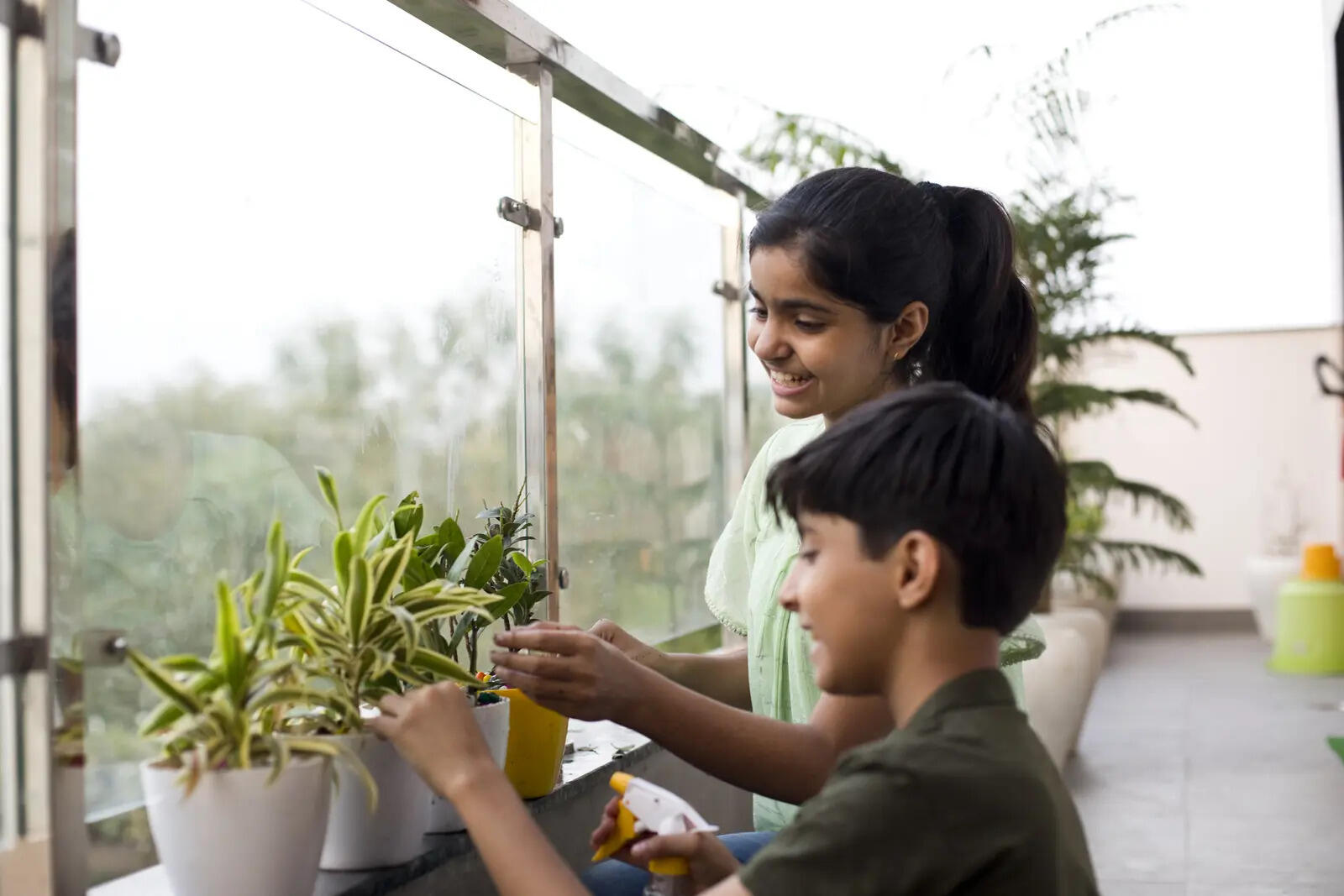 Can You Really Keep Houseplants Alive? Experts Reveal the Secret to Thriving Indoor Plants Can You Really Keep Houseplants Alive? Experts Reveal the Secret to Thriving Indoor Plants