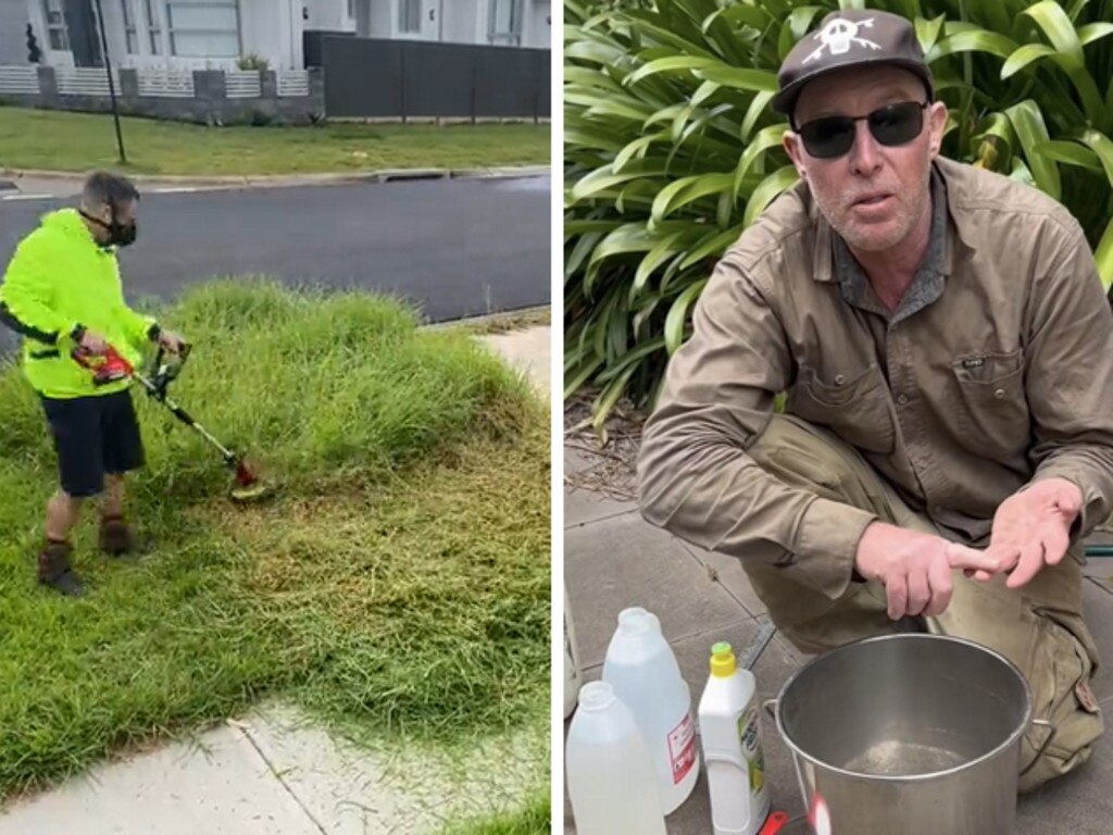 Lawn care costs soar to almost $1000 a year for Australian households Lawn care costs soar to almost $1000 a year for Australian households