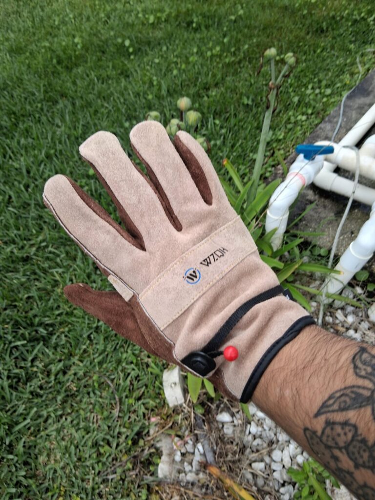 New glove day!! Time to yank out some goodamn brazilian pepper plants