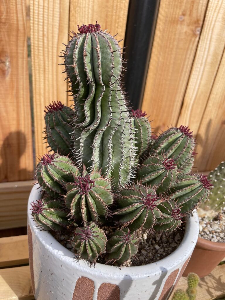 Just wanted to share today