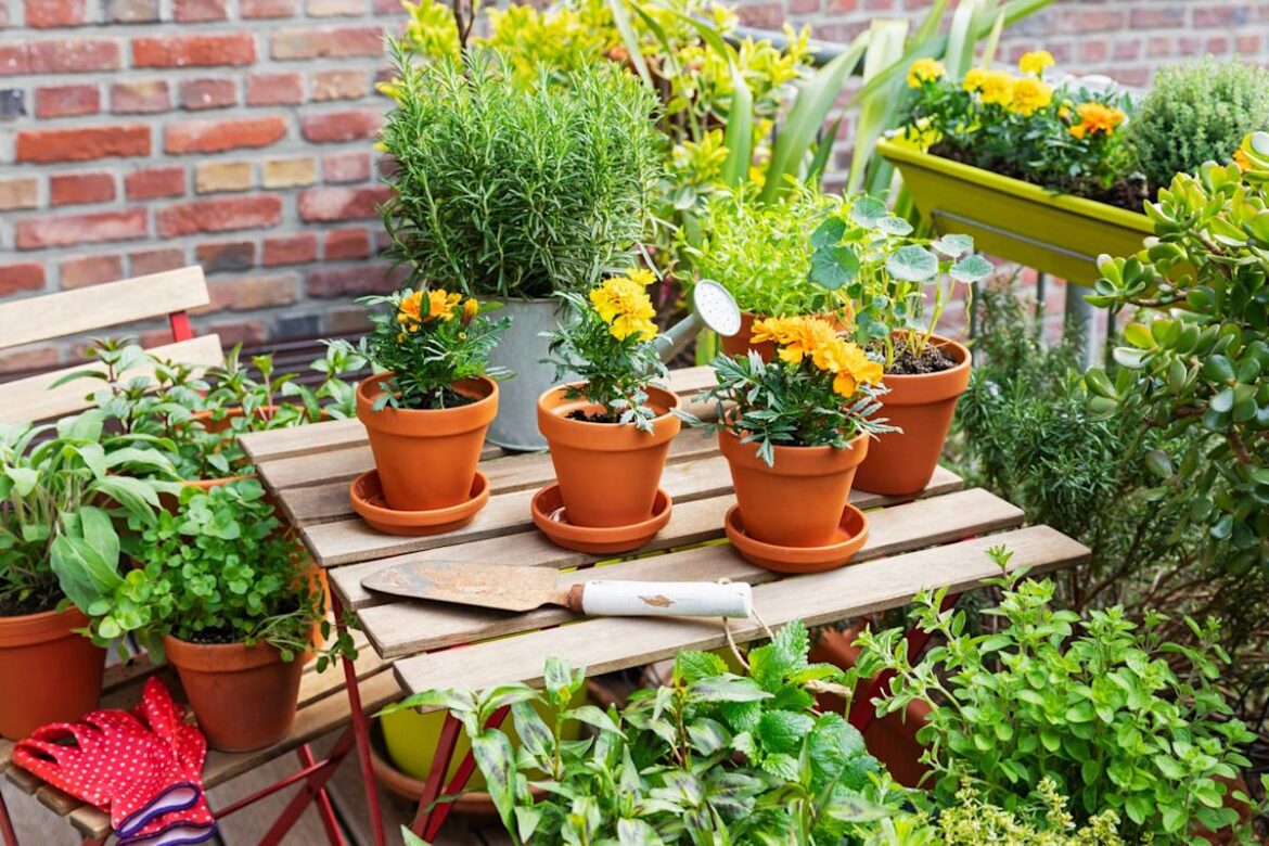 I’m a Garden Writer, and This Is the One Foolproof Annual I Think Everyone Should Plant