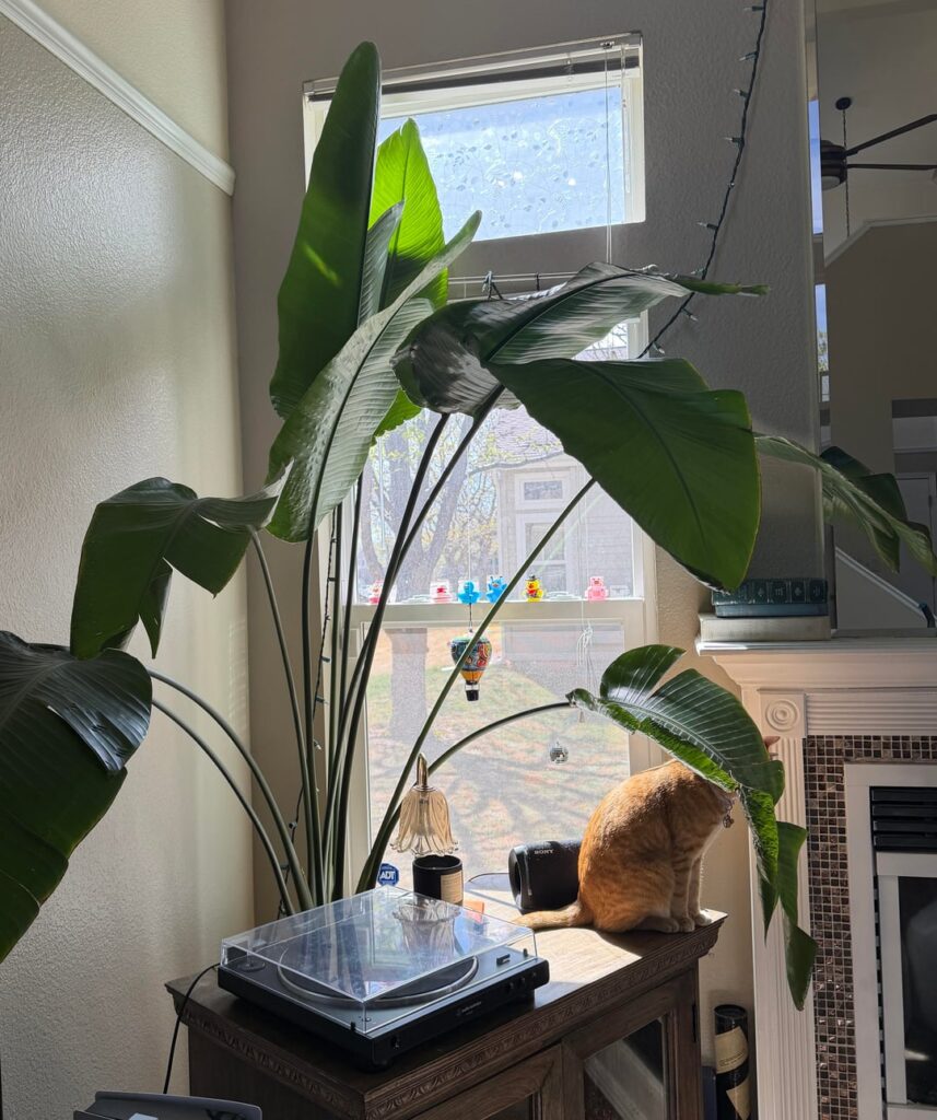 Help! Before it gets worse