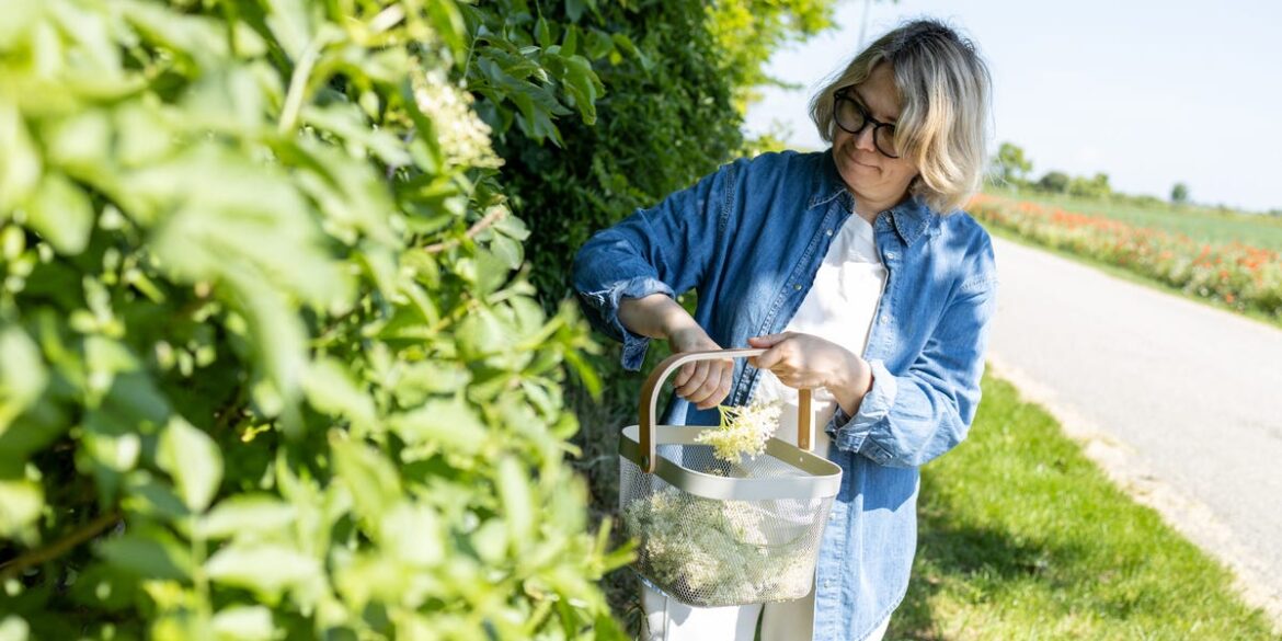 Is It Ever Okay to Pick Flowers From Someone Else’s Yard? An Expert Weighs In Is It Ever Okay to Pick Flowers From Someone Else’s Yard? An Expert Weighs In
