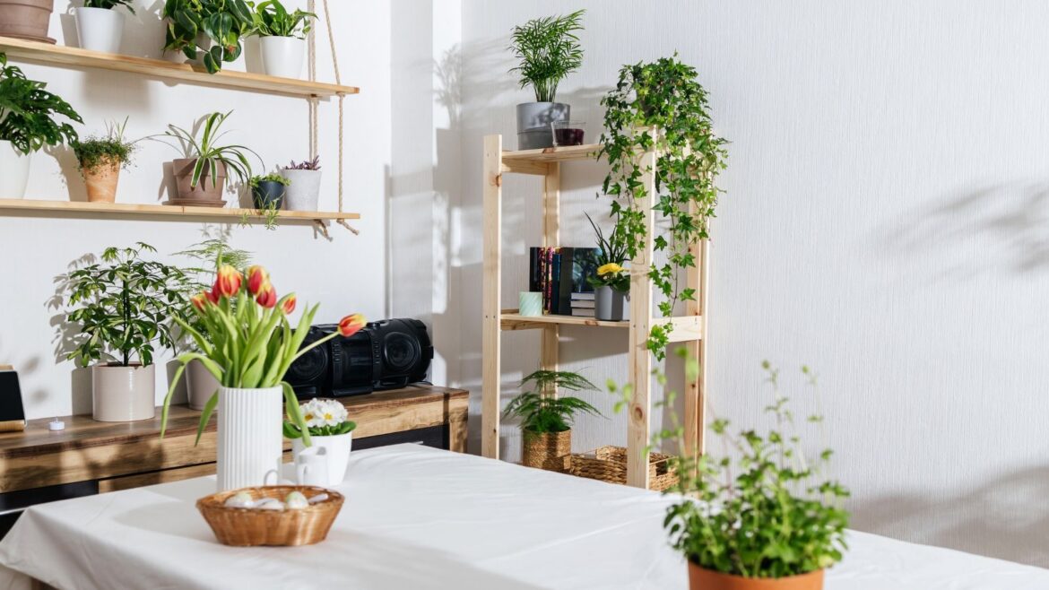 IKEA’s Plant Stand Will Solve Your Small-Space Woes Modern kitchen with wood shelves and houseplants
