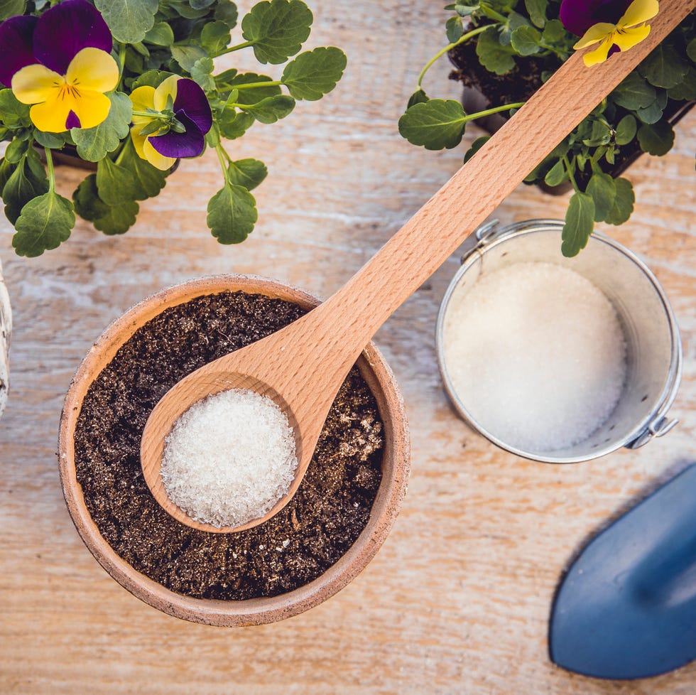 water gel granules absorb water and stored water is available to release gradually to plant roots as needed gives healthier growing environment. prevents over and under watering, instagram filter.