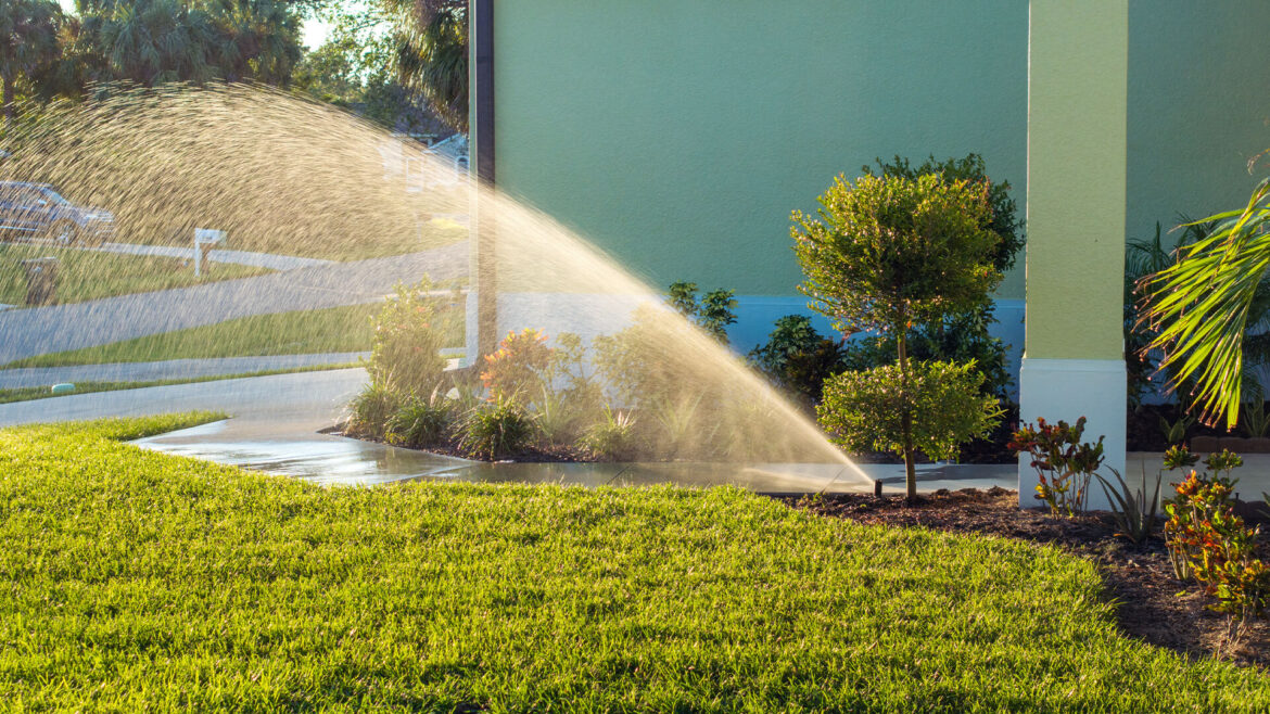 Exact time gardeners should start watering their lawns post-winter to prevent damage and keep grass lush all summer Exact time gardeners should start watering their lawns post-winter to prevent damage and keep grass lush all summer