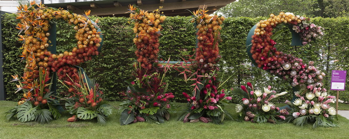 Your Chelsea Flower Show 2026 preview The letters RHS made out of a flower display