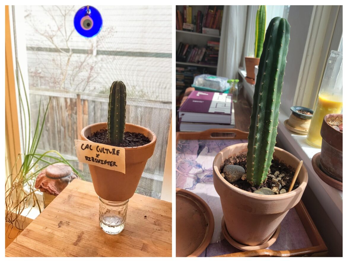 A year's difference :)