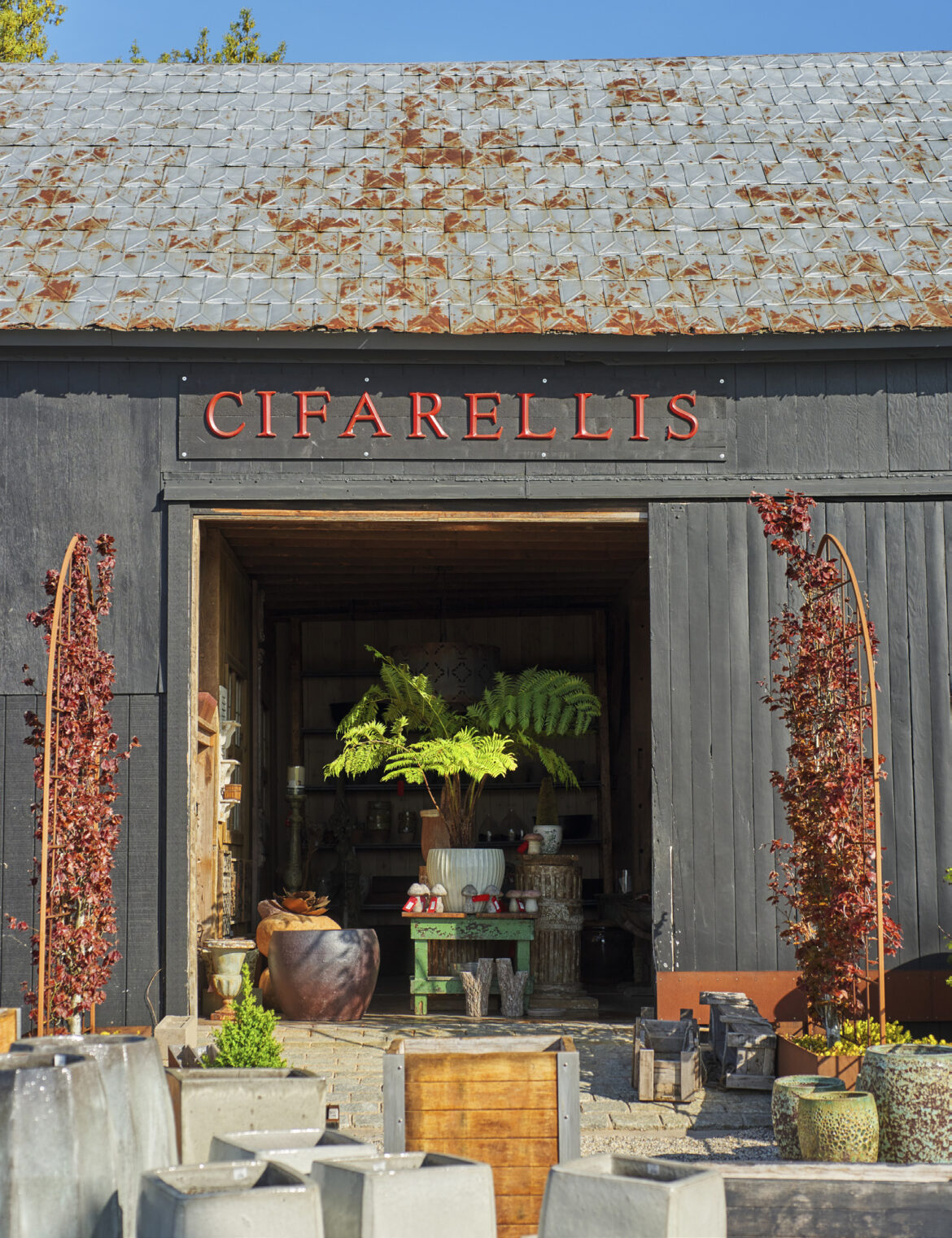 The art of outdoor living: find inspiration any season at Cifarelli's Nursery