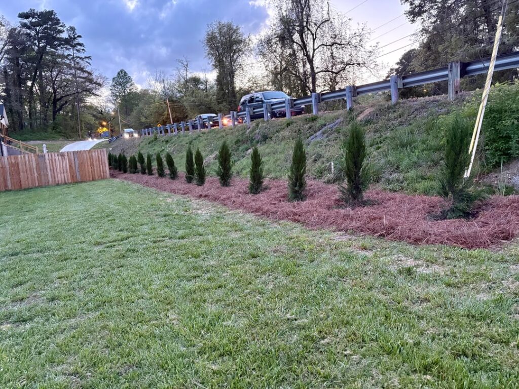 Follow up on Jolly Green Giants that did not get planted.