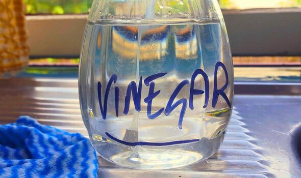 Picture of a bottle of white vinegar Picture of a bottle of white vinegar
