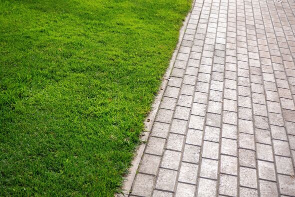 Clean edge between vibrant green lawn and light gray paved walkway. Real photo Clean edge between vibrant green lawn and light gray paved walkway. Real photo