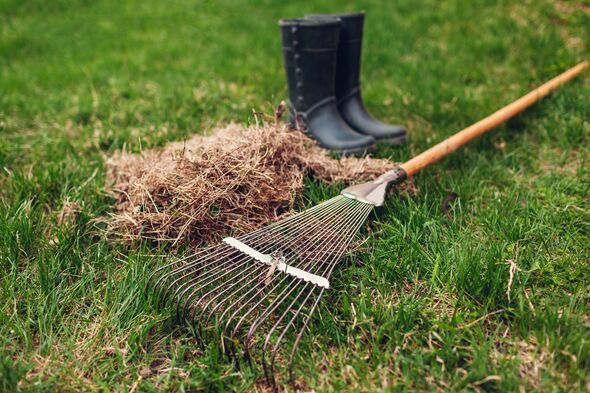 Cleaning lawn from dry grass with a rake in spring garden. Heap of grass with boots and tool Cleaning lawn from dry grass with a rake in spring garden. Heap of grass with boots and tool
