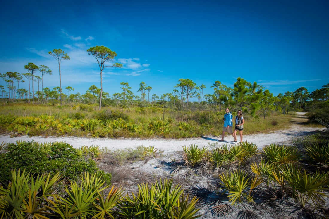People walk on a beachy path