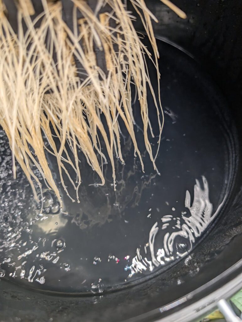 DWC Help: White floating particles & Root check (Masterblend @ 21°C/70°F)