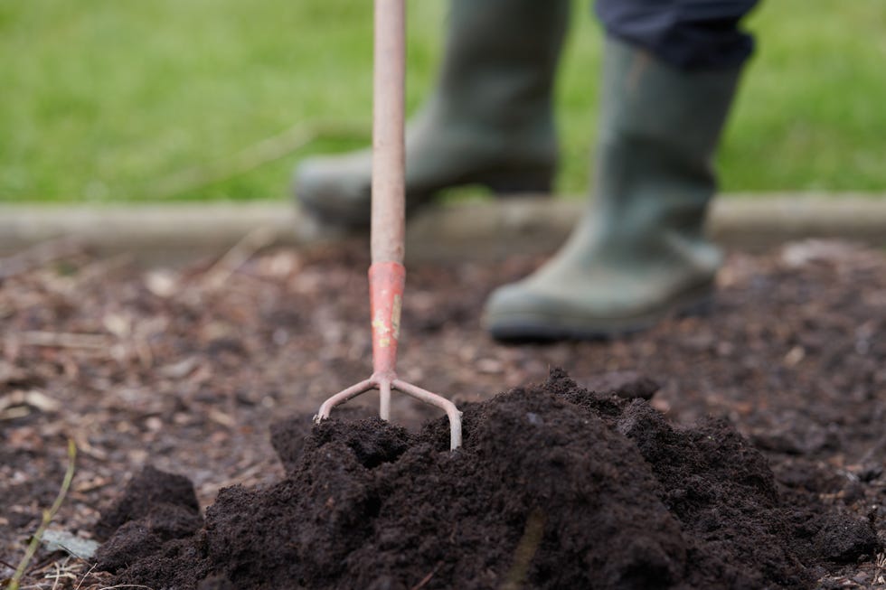 Compost and native soil compost and native soil
