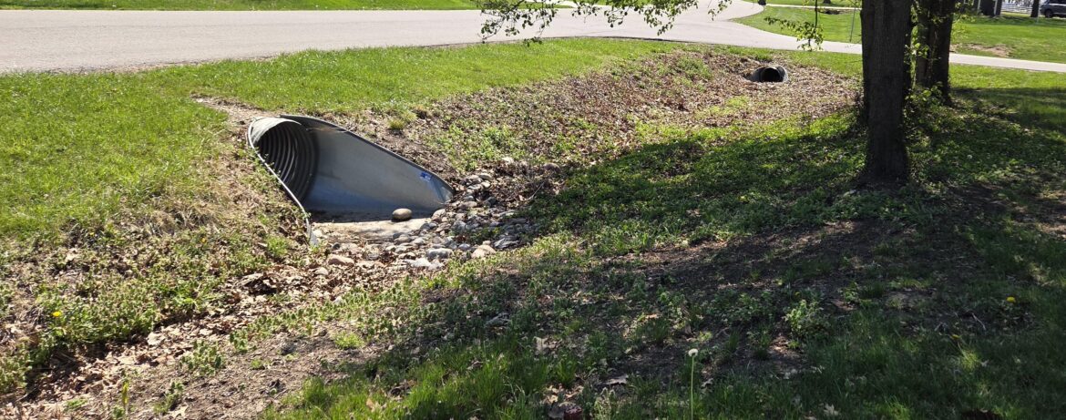How would you tackle this for seeding? How would you tackle this for seeding?