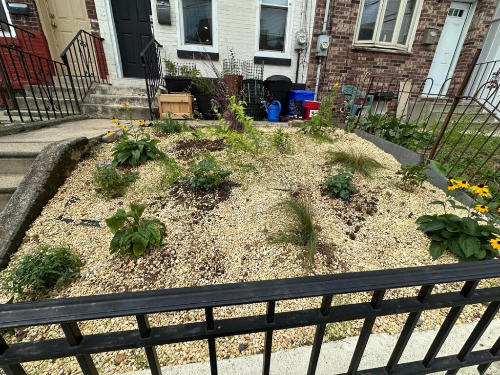 Weeds… Weeds…