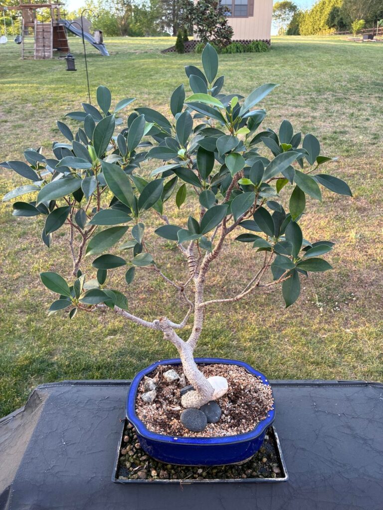 What do/can I do with this? What do/can I do with this?