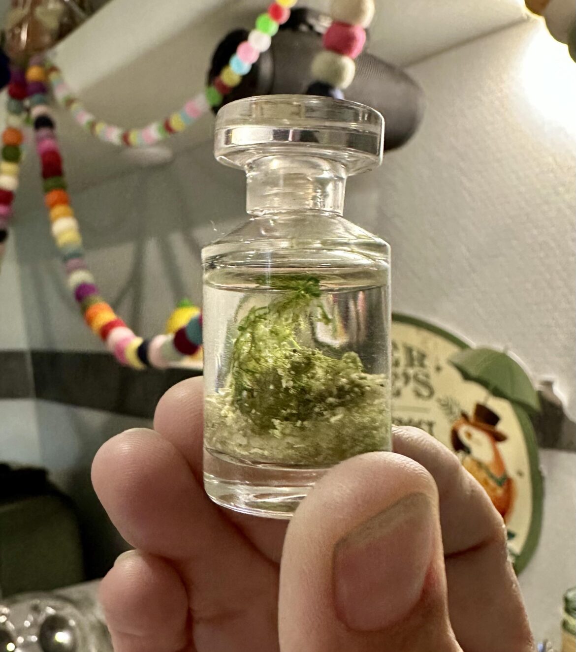 Day 207 update on my Jarrarium, what’s wrong with it?