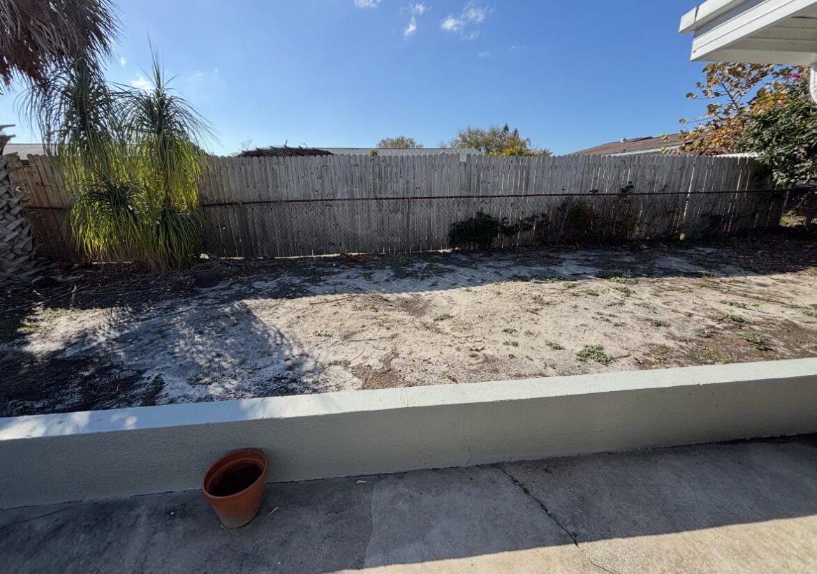 Tips for my backyard space?