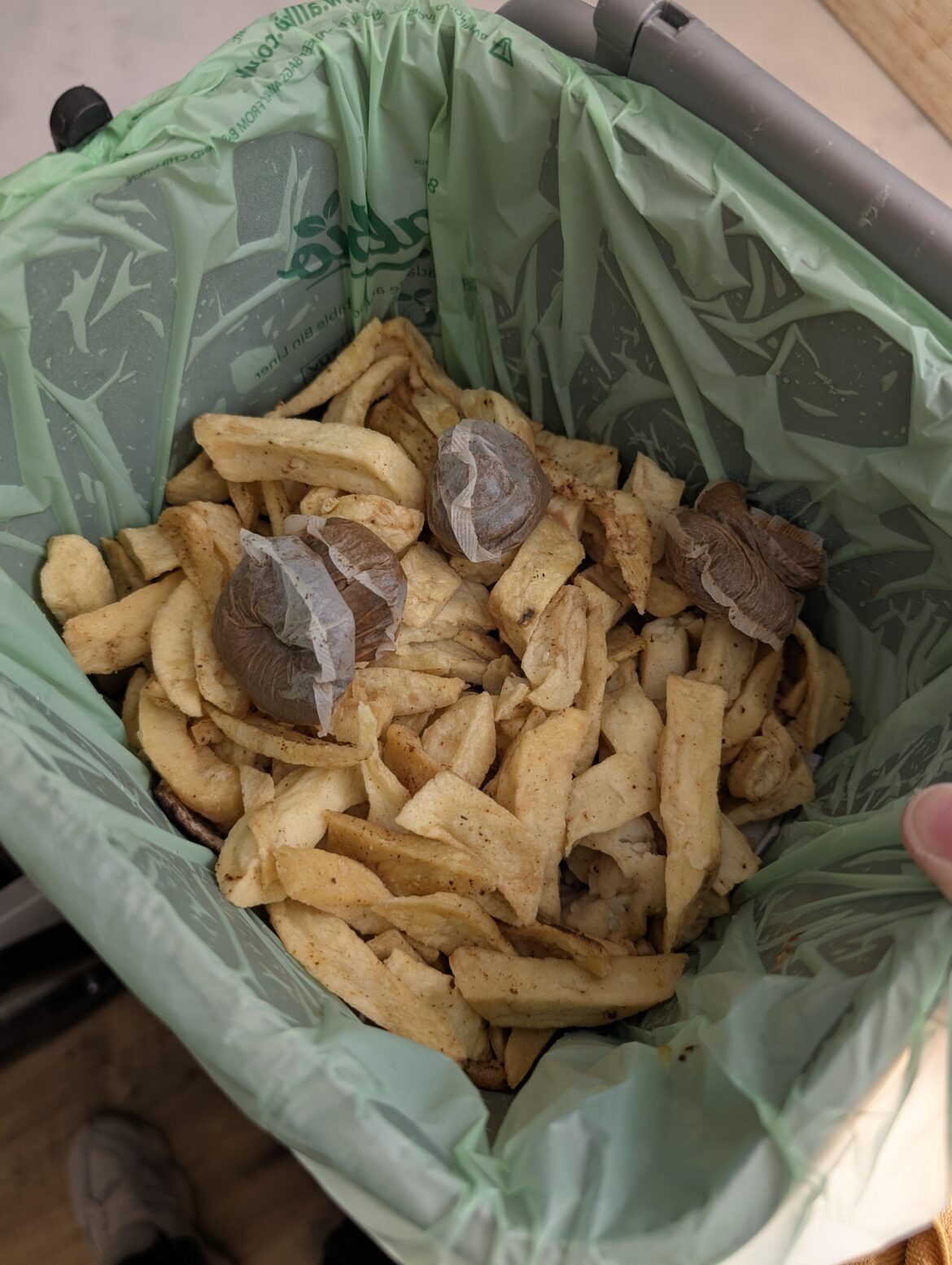 Today on weird things to compost Today on weird things to compost