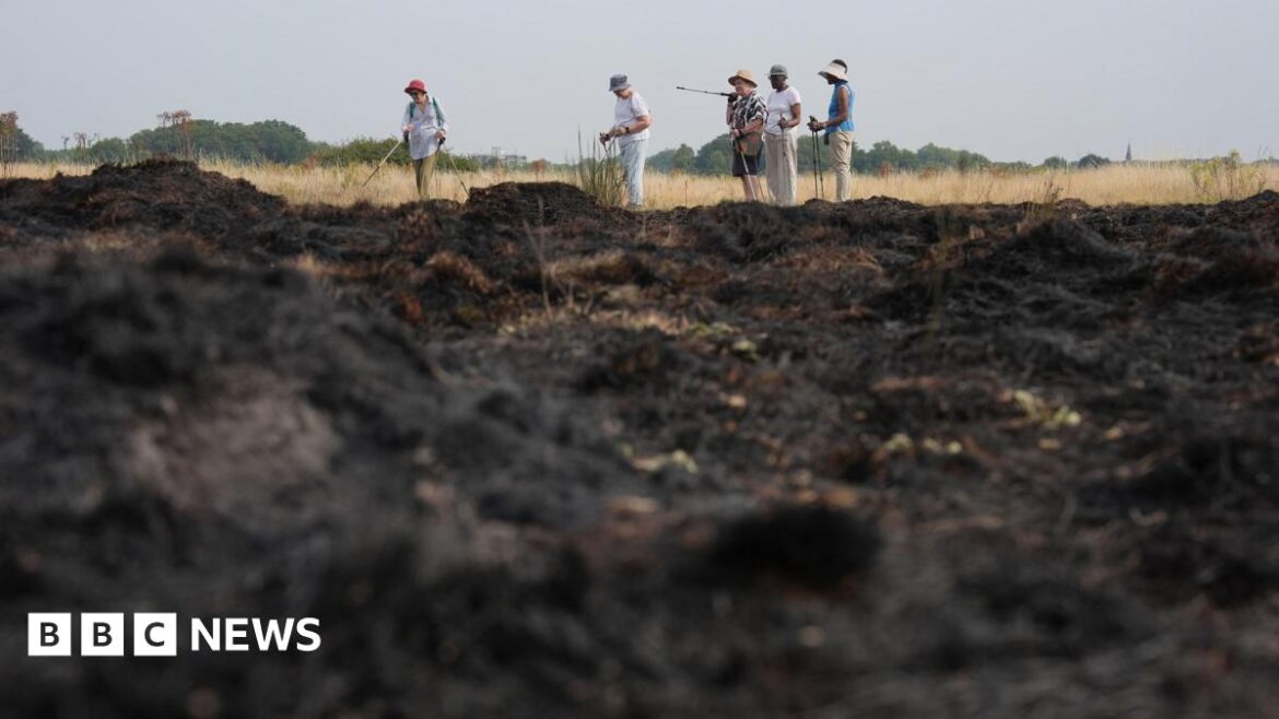 Prevent grass fires by clearing your garden, LFB tells Londoners A group of walkers stop to look at the aftermath of a grass fire in Wanstead Flats, north-east London. The fourth heatwave of the summer will continue with temperatures expected to climb to 34C in parts of England. Picture date: Wednesday August 13, 2025.