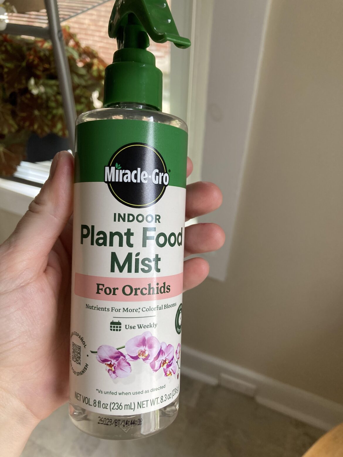 Good feeding option?