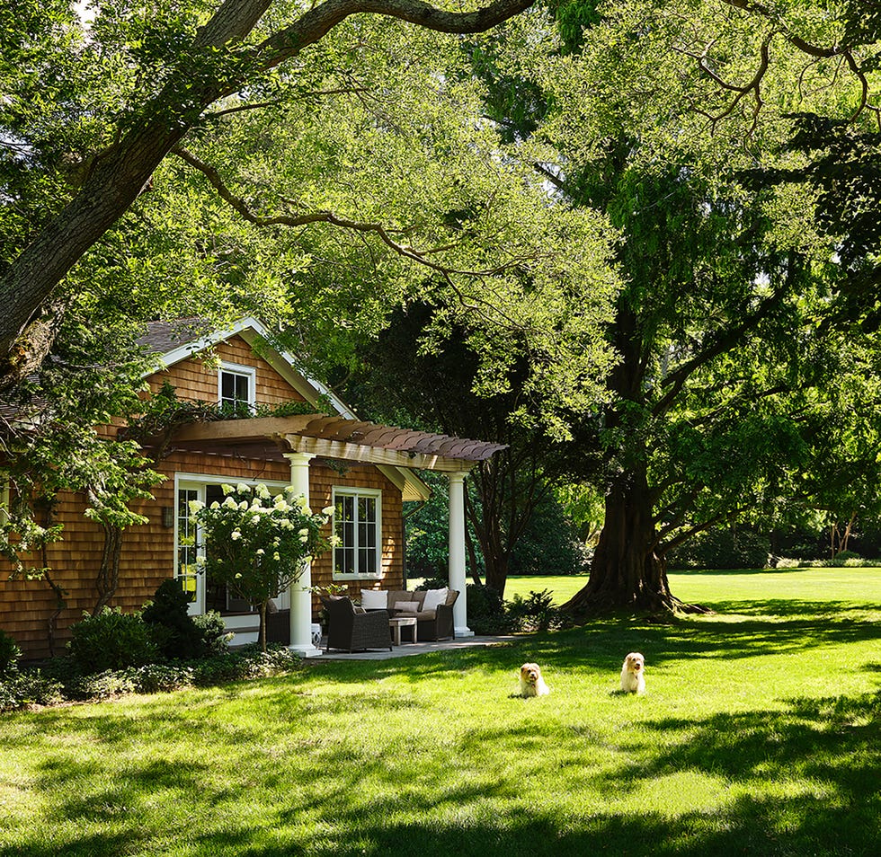 Charming cottage surrounded by lush greenery and two dogs in the yard.