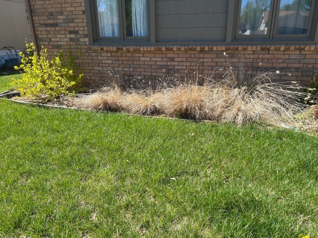 Recently bought a house need yard help pt2