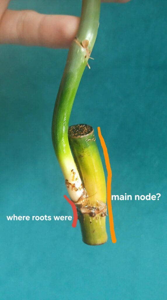 Spent node? +propagation question