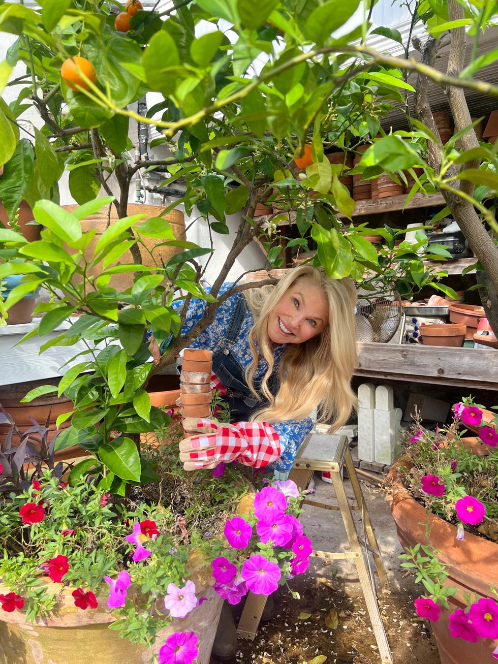 supermodel christie brinkley in garden supermodel christie brinkley in garden