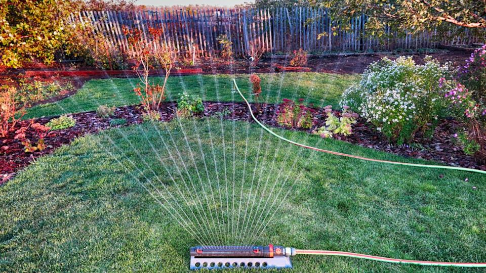 Oscillating sprinkler watering fresh mown lawn and flower bed in the evening autumn garden