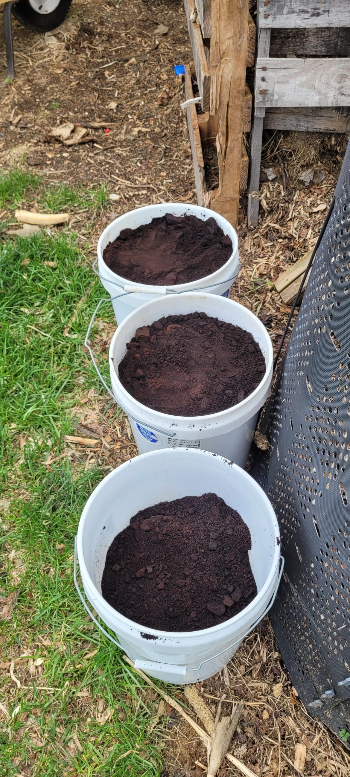 I finally worked up the courage to go to Starbucks and ask for coffee grounds.