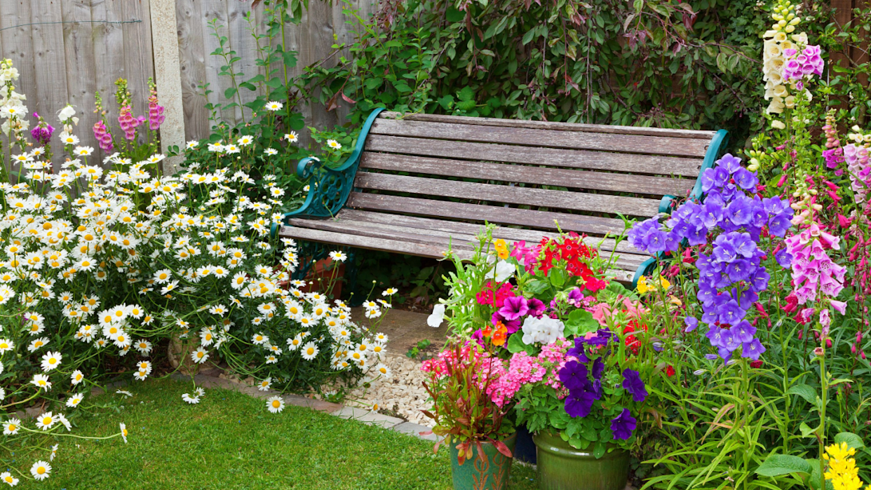 garden cottage with bench foxglove pansy daisy