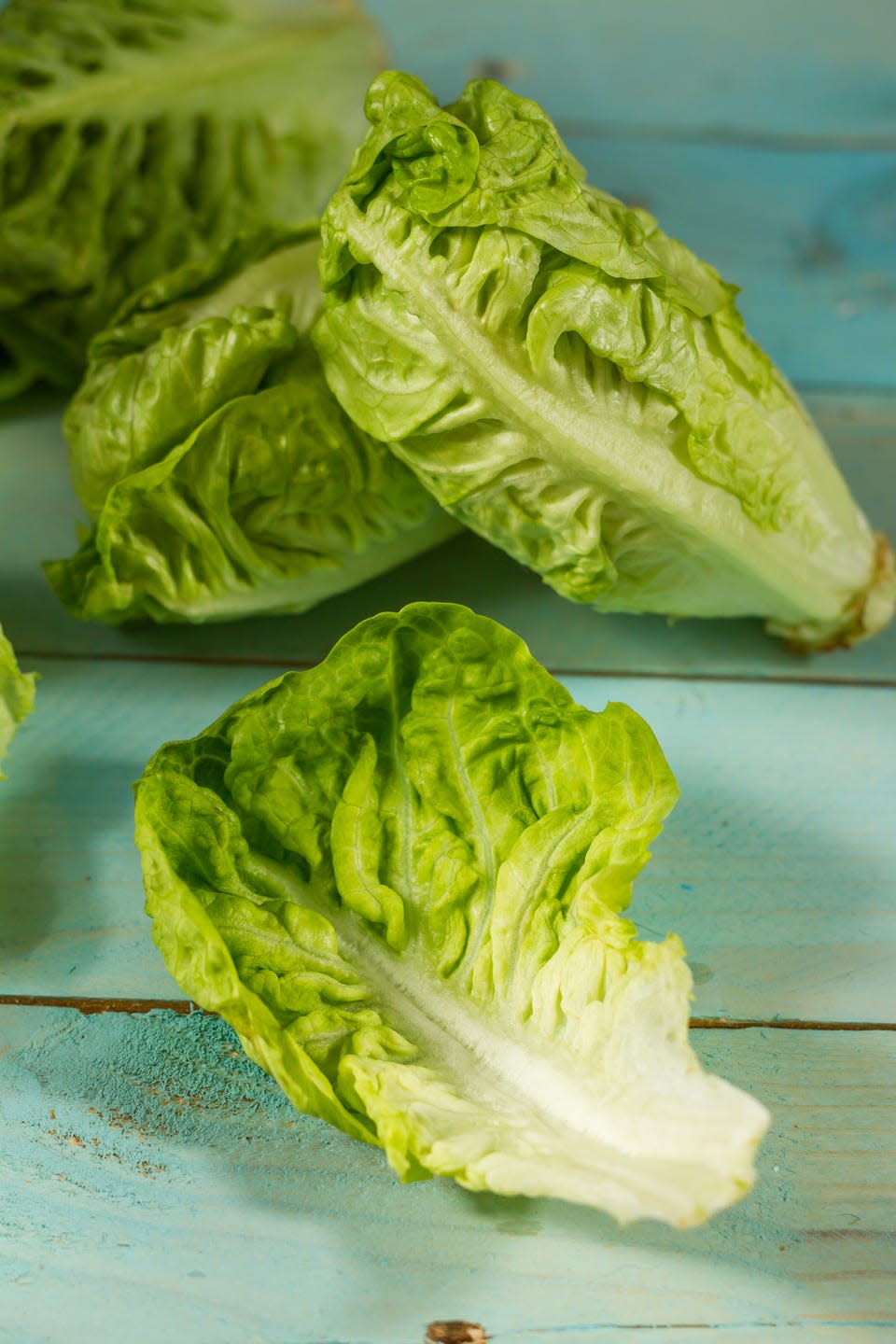 vegetables to plant in april lettuce
