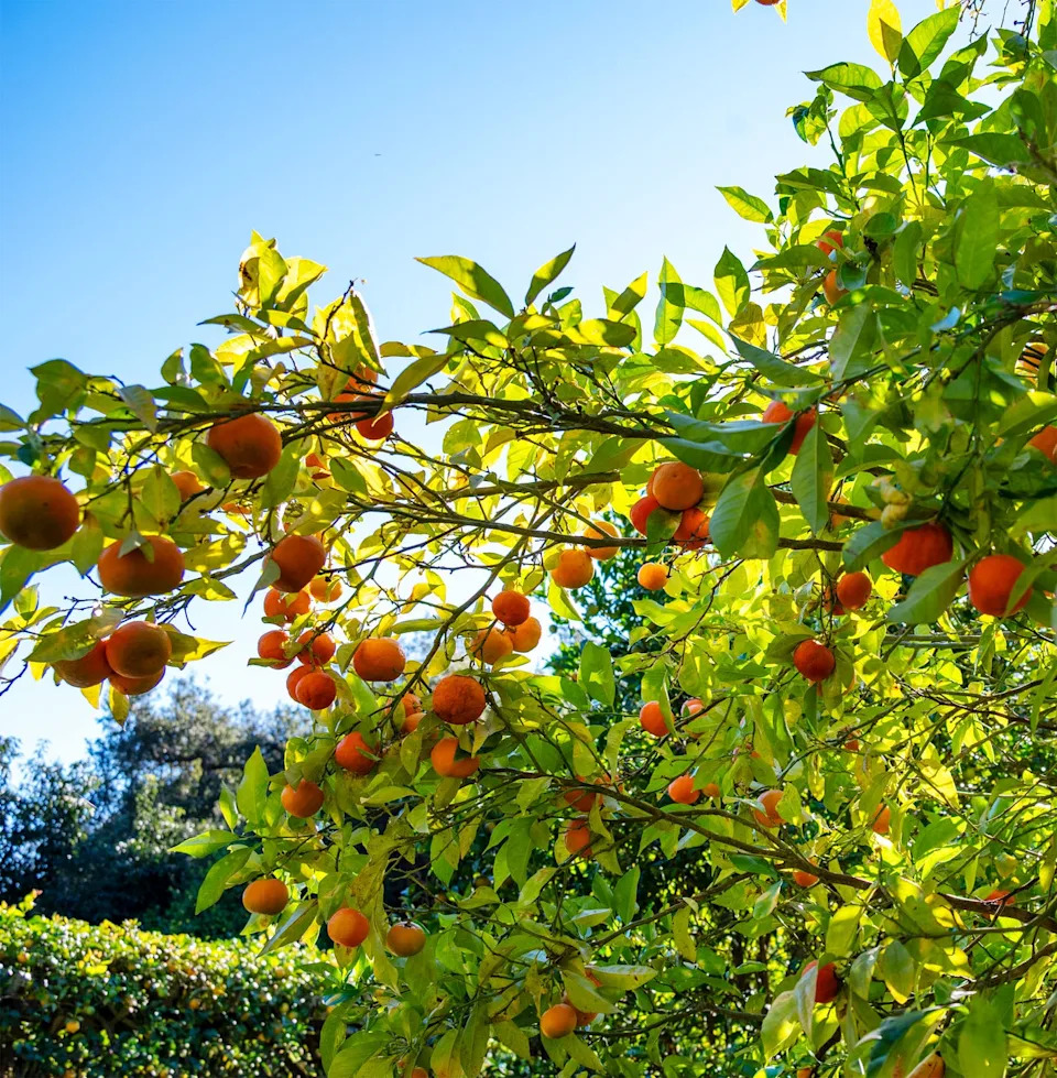 Photo credit: Lisa Eisner