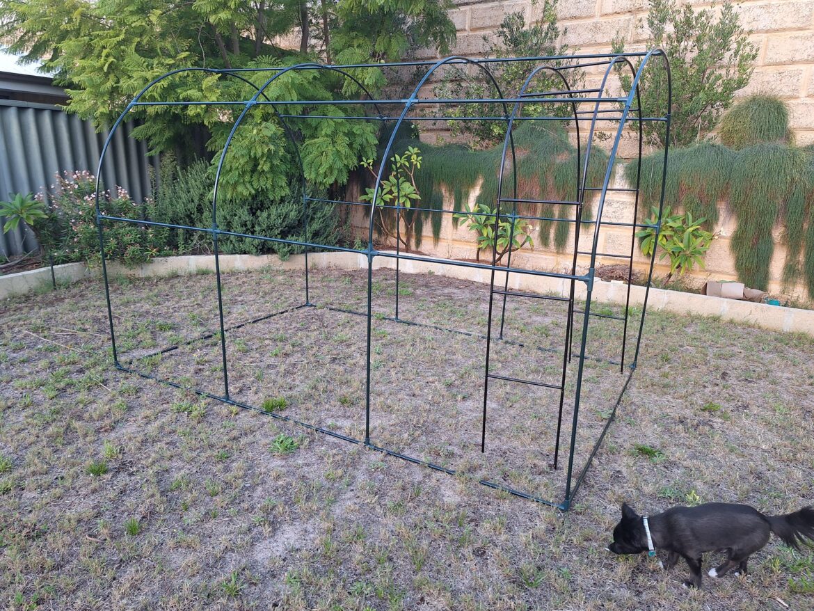 Lawn into garden- help please