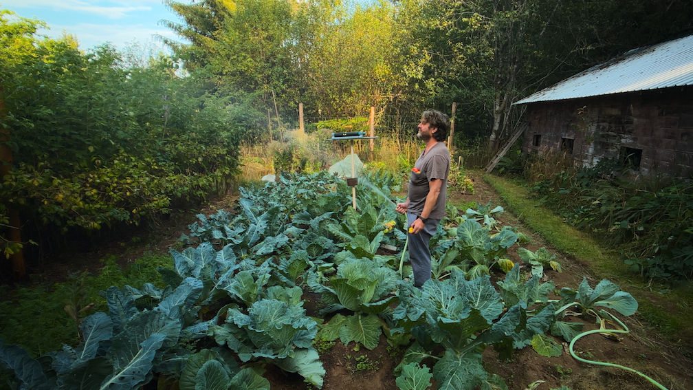 Zach Galifianakis watering a vegetable patch in a still from Netflix's "This Is A Gardening Show"