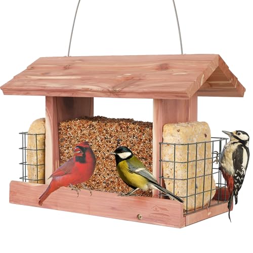 Solution4patio Us Cedar Hopper Bird Feeder for Outdoors Hanging, Handcrafted Wood Double Suet Cage & Clear View Windows, Squirrel-Proof Wild Bird Feeder for Cardinals, Finches, Chickadees