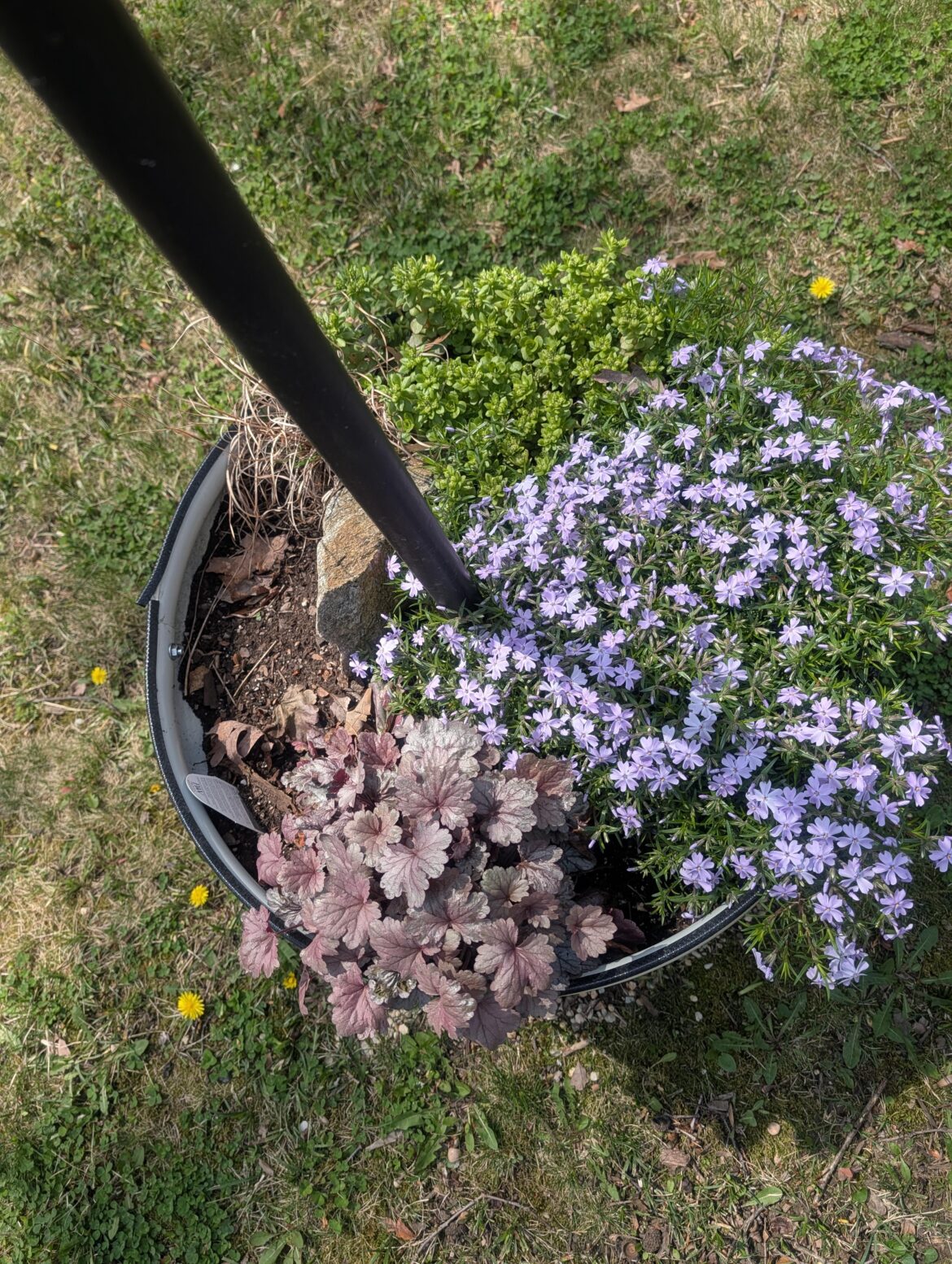 native containers