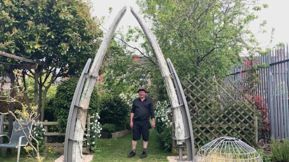 A man wearing a black shirt and shorts and a brown hat is standing underneath an archway which is made of the 134 year old jawbones of a whale. There are trees and plants surrounding the arch which is held up with steel supports.