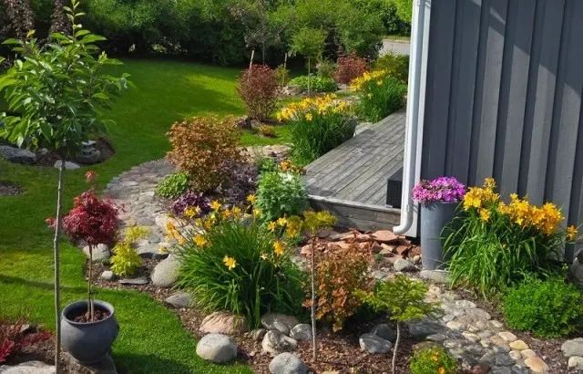 The homeowner's garden after the yard transformation. There are many flowers and other plants.