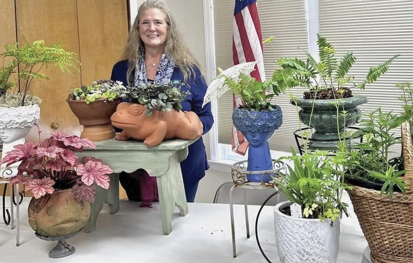 Container Gardening 101 at Beach Haven Library Container Gardening 101 at Beach Haven Library