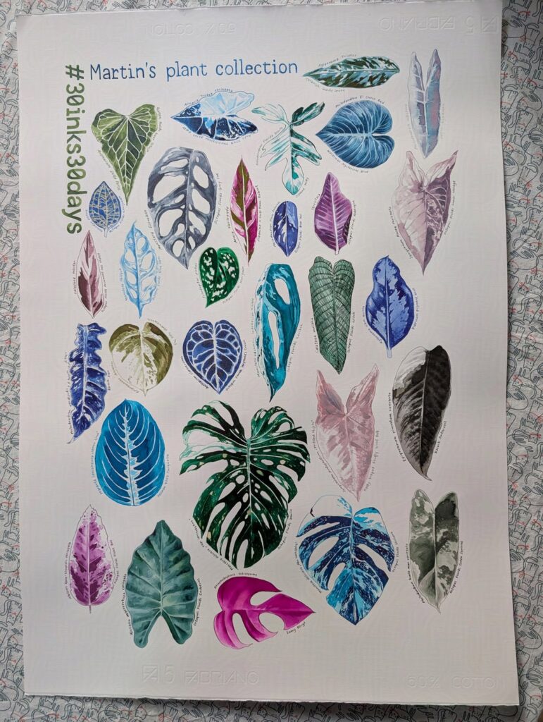 I documented 1 of my husband's houseplants each day in April.