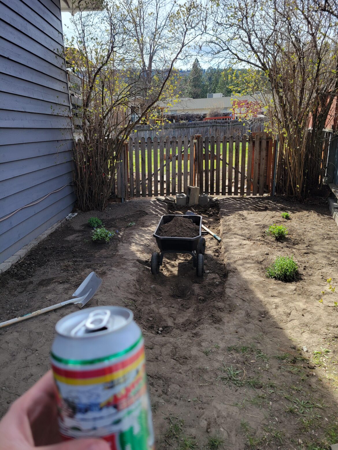 Nothing better than landscaping with a beer on a sunny Friday amiright