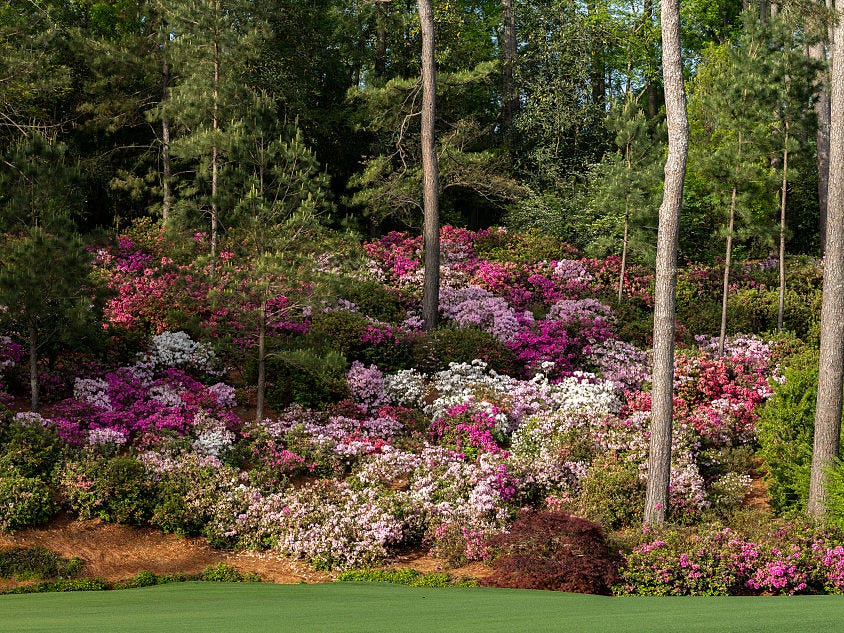 Augusta National Women's Amateur - Round Three Augusta National Women's Amateur - Round Three