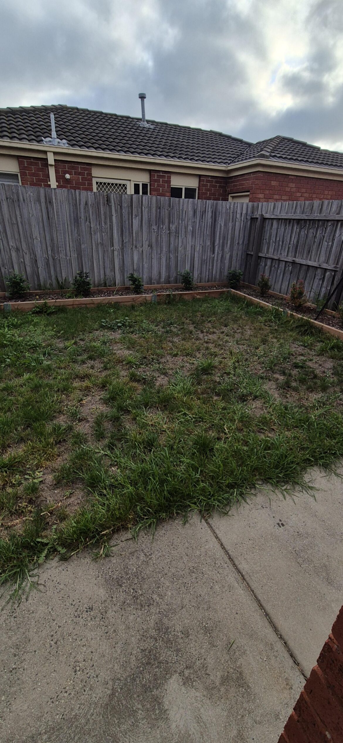 Looking for advice for lawn Looking for advice for lawn